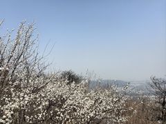 -北京西山国家森林公园