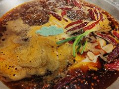-大龙燚火锅(春熙店)