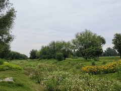 -汉长安城未央宫国家考古遗址公园