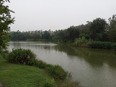 -白鹭湾湿地公园