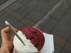 -Dip in Gelato(富民路店)
