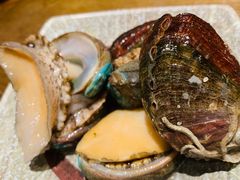 活鲍鱼-阳光岛·海鲜盛宴(银泰中心in99店)