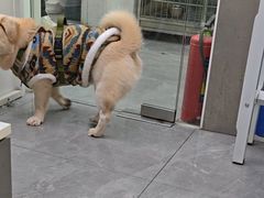 -它主义宠物(梁溪万达店)