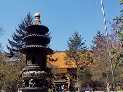 -哈尔滨极乐寺