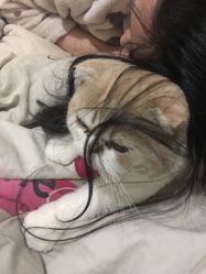 -恒沙廊