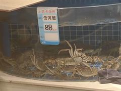 -喜来酌海鲜·饺子(和平一店)