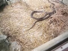 -荔城生鲜盛宴(番禺旗舰店)