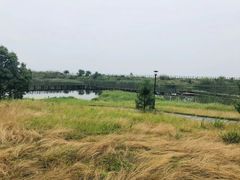 -鄱阳湖国家湿地公园