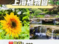 -黄浦江游览(十六铺码头)