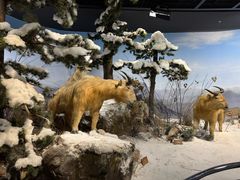 -陕西自然博物馆