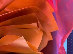 -姑苏秦隆昌(木渎古镇店)