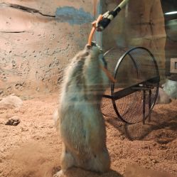 -Zoolung Zoolung动物主题公园(海信广场店)