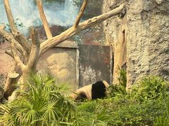 -石排湾郊野公园