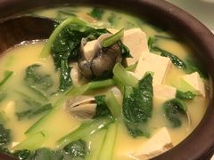 青蛤豆腐汤-大铁勺新津菜(东丽阳光新业广场店)