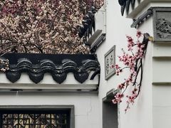-无锡梅园公园