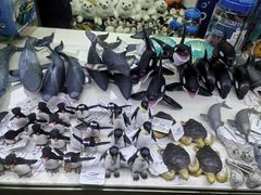 -上海海洋水族馆