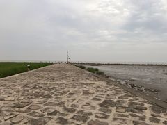 -南汇嘴观海公园