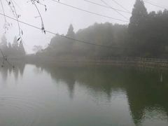 -玉苍山国家森林公园