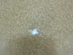 -李先生牛肉面大王(北京东四店)