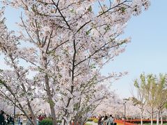 -上海山野camping·户外天幕烧烤·团建拓展营地
