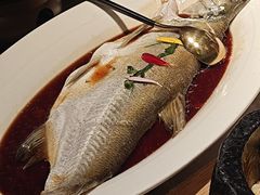 -醉庐·新上海菜(南京西路店)