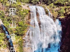 -海南热带雨林国家公园吊罗山景区