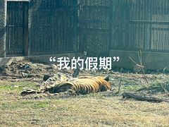 -南昌动物园