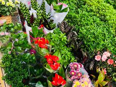 -秦美花卉(天朗·莱茵小城2期店)