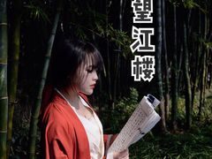 -望江楼公园