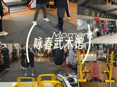 -温鉴良实用咏春拳
