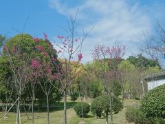 -厦门园林博览苑