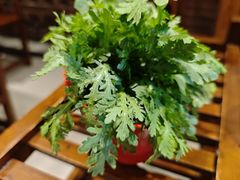 -老诚一锅羊蝎子(天通苑东三区直营店)