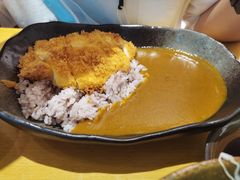 咖喱鸡排套餐-胜博殿日式炸猪排(西红门店)