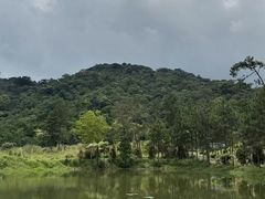 -海南热带雨林国家公园吊罗山景区
