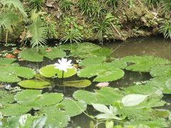 -中国科学院西双版纳热带植物园