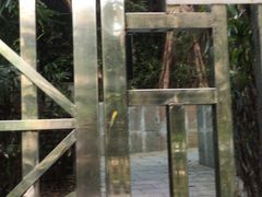-燕晗山郊野公园