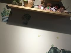 -东方名猫馆·英短金渐层布偶猫舍(环线广场1号楼店)