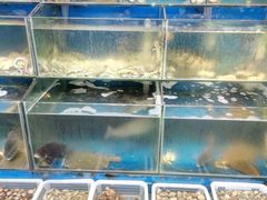 -日照大牌檔•小船海鲜(万平口店)
