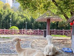 -昆山城市生态森林公园