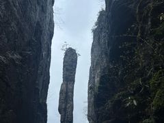 -恩施大峡谷