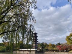 -上海方塔园