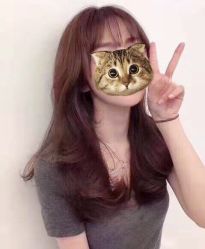 -Tipo Hair salon（明星）店