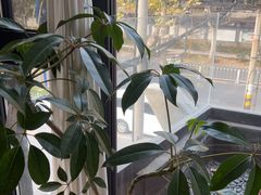 -陈熹公民族美食文化餐厅(中华广场店)