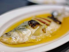 老酒蒸鲥鱼-望乡楼上海菜(日月光店)