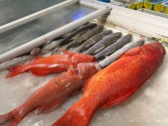 -潮人姐妹轩(海宁路店)