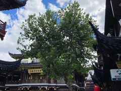 -上海城隍庙福佑门小商品批发市场