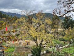 -塔川景区