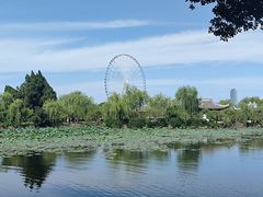 -无锡蠡湖国家湿地公园-蠡园