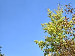 -云丘山景区