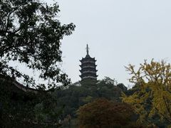 -焦山风景区